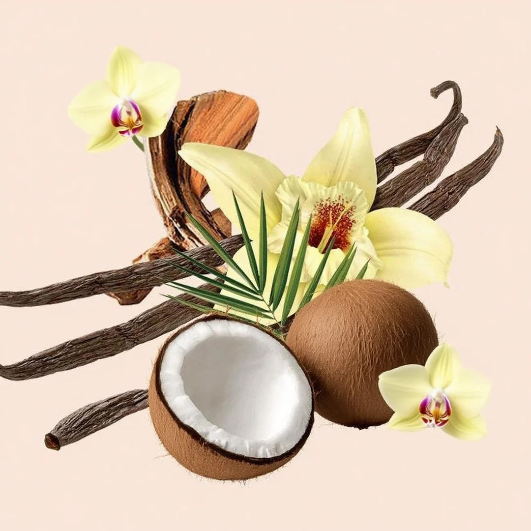 Coconut/Vanila