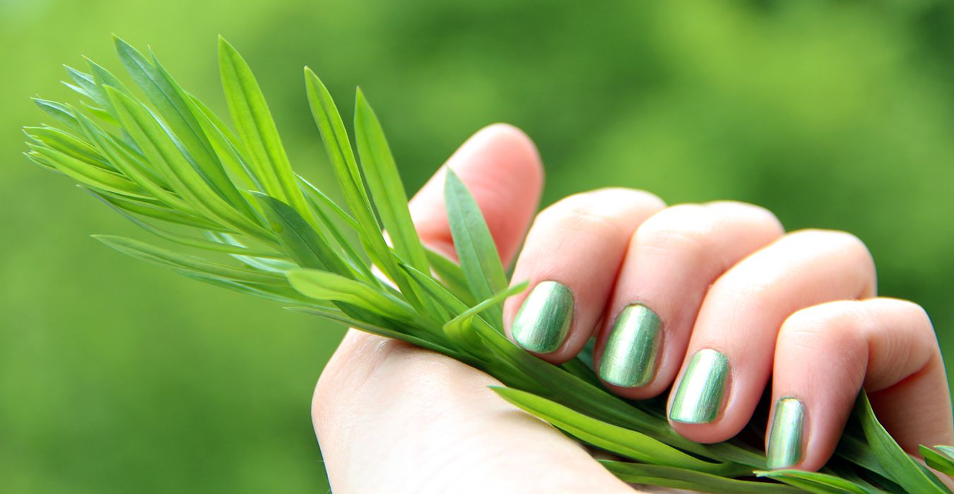 Nail Homepage 2