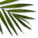 leaf decoration