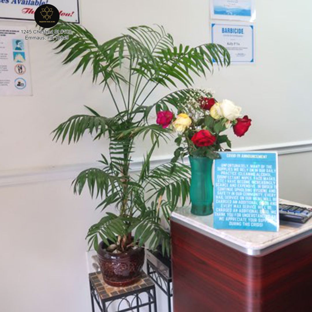 Majestic-Nails-and-Spa-Emmaus-PA-18049