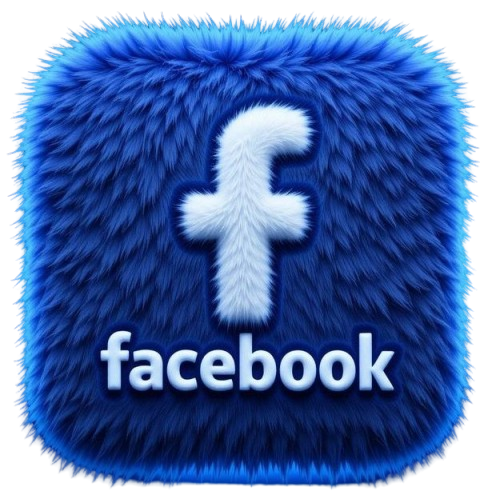 FB