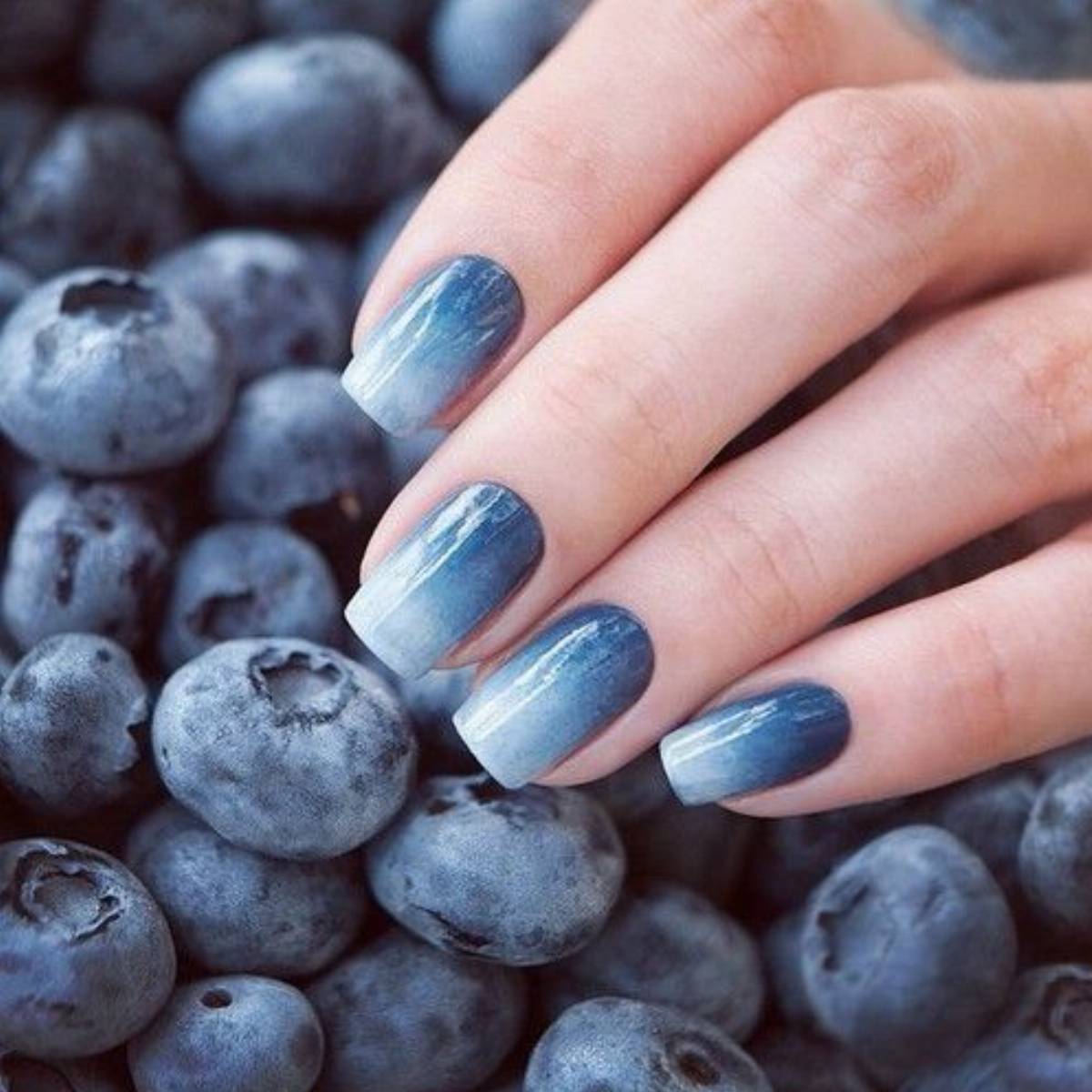 Shellac Gel