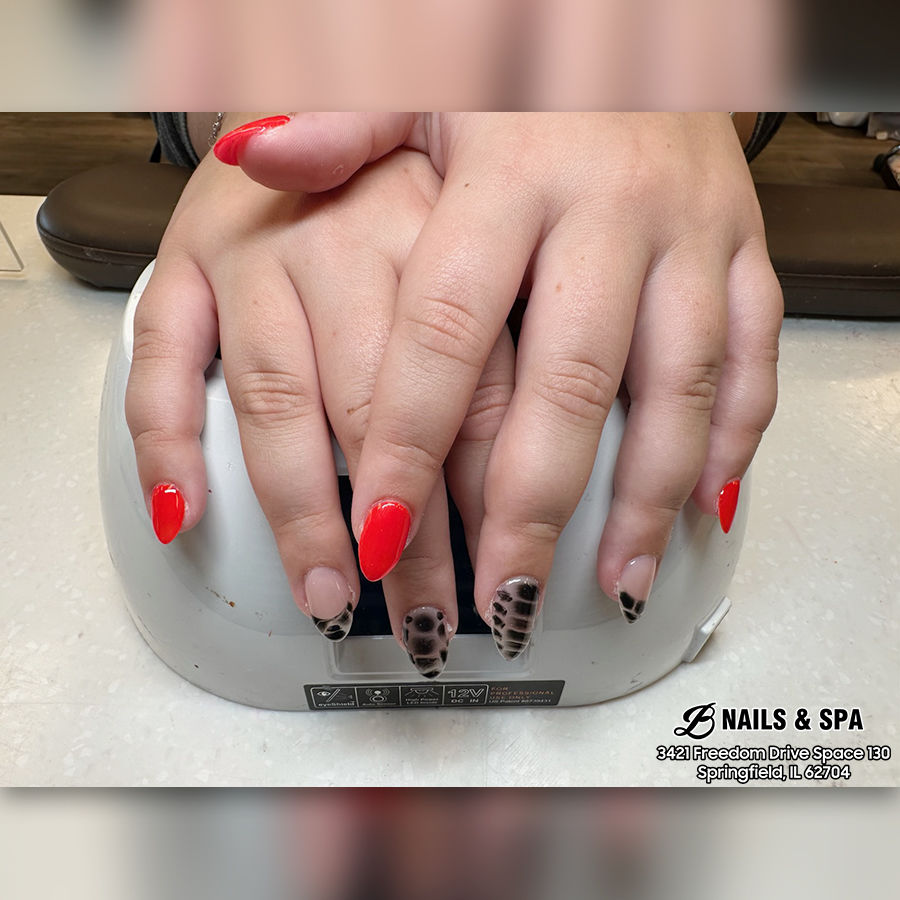 B Nail & Spa in Springfield, IL 62704 1510 (2)