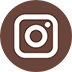 Icon instagram