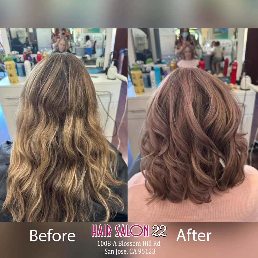 Hair Salon 22 _ Hair salon San Jose CA 95123