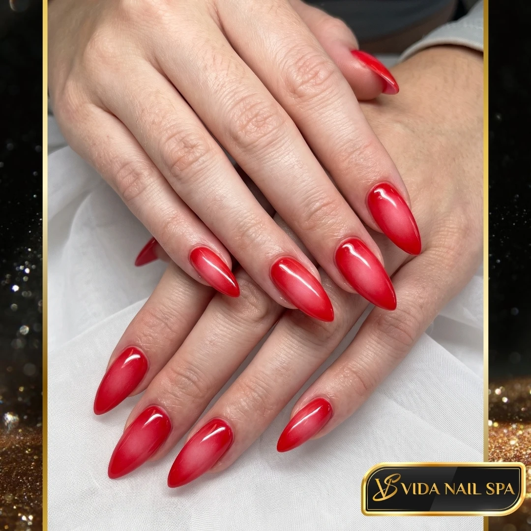 Vida Nail Spa