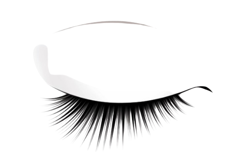 Classic Lash Certification