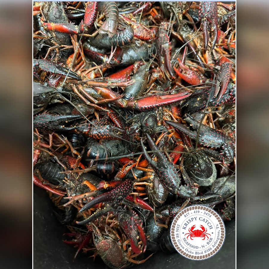 Krispy Catch in Arlington, TX 76018