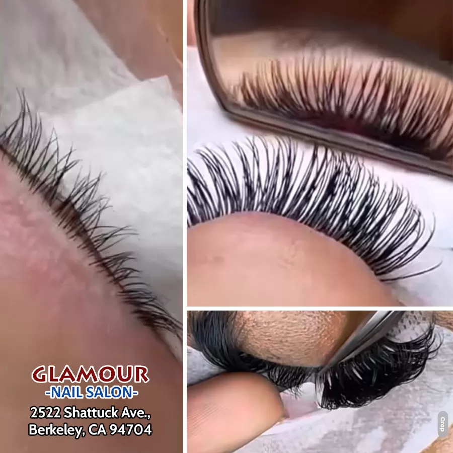 Eyelash and Eyebrows