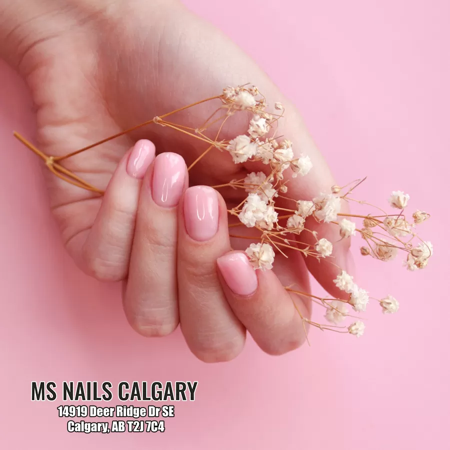 Nail design collection