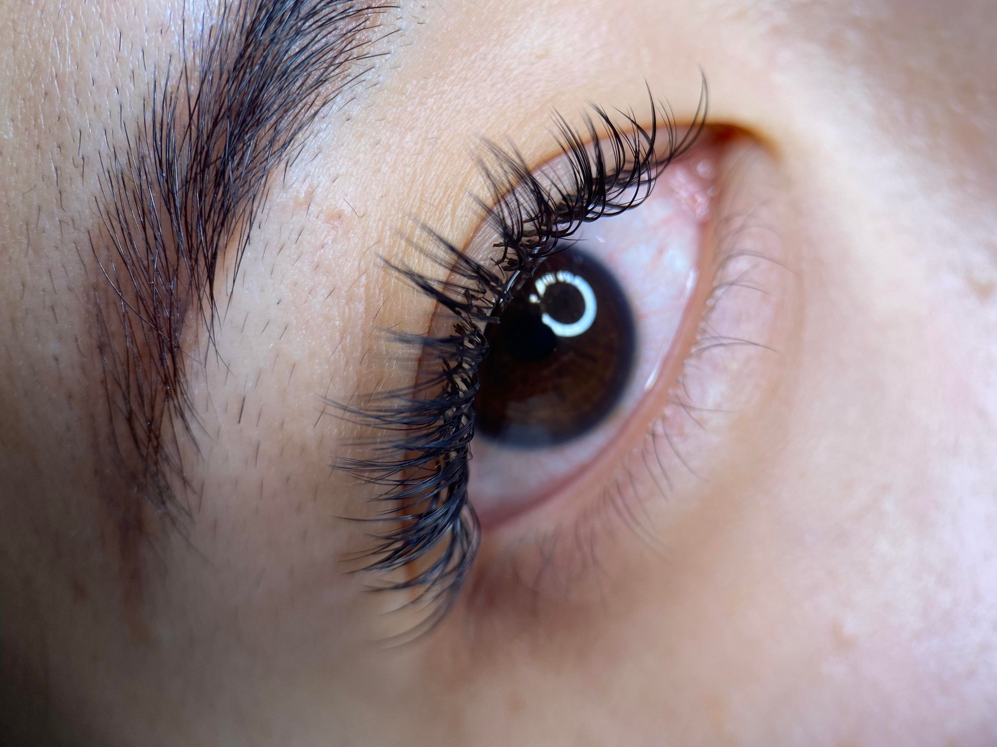 Eyelash