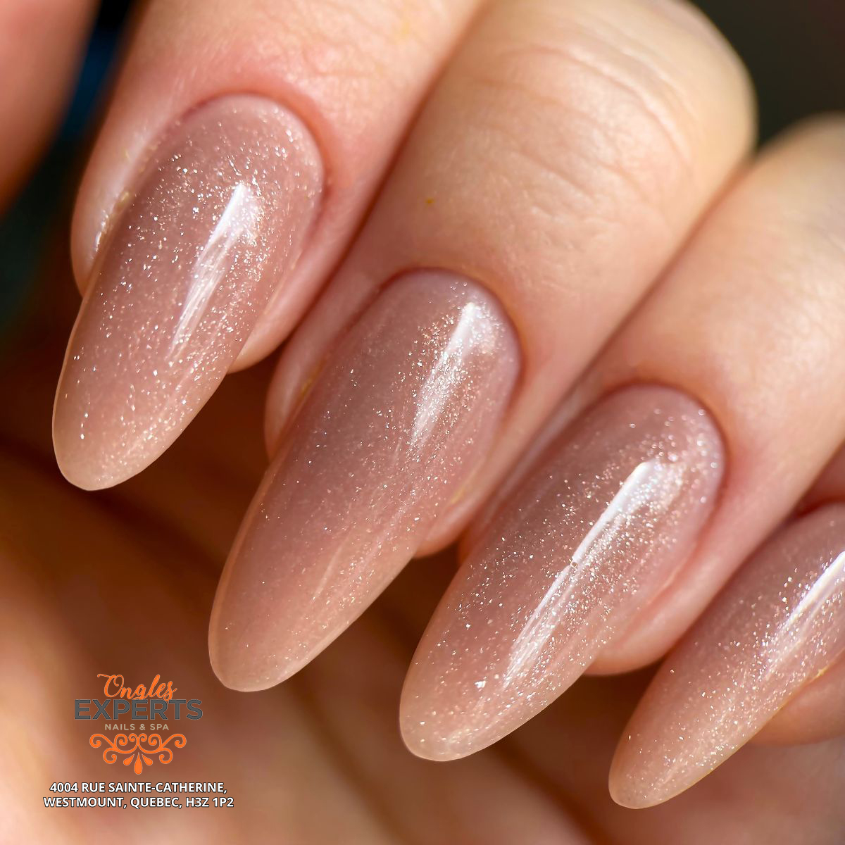 Expert Nails & Spa in Westmount, Quebec H3Z 1P2