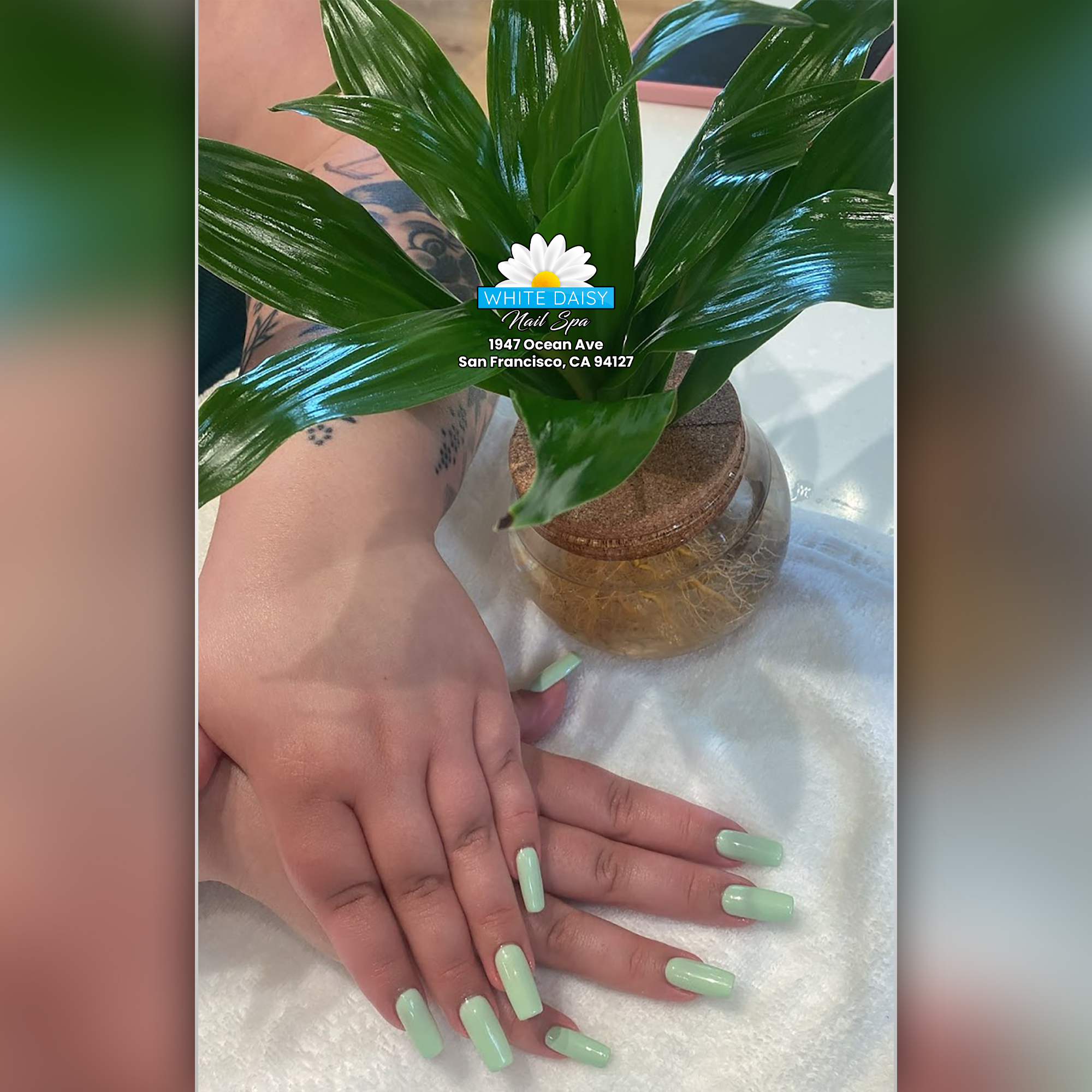Nail design collection