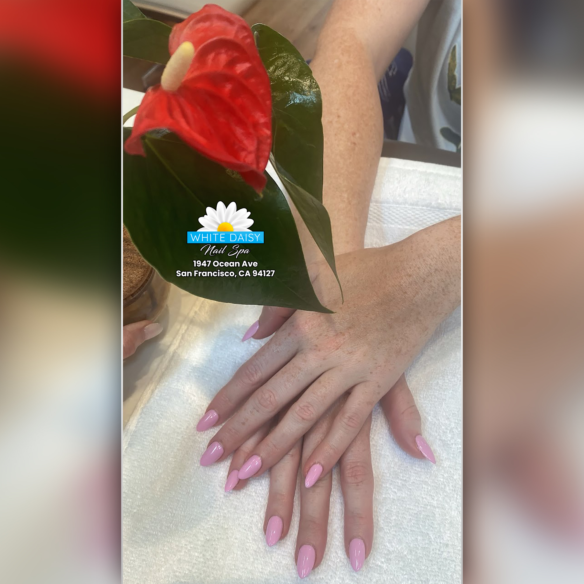 Nail design collection
