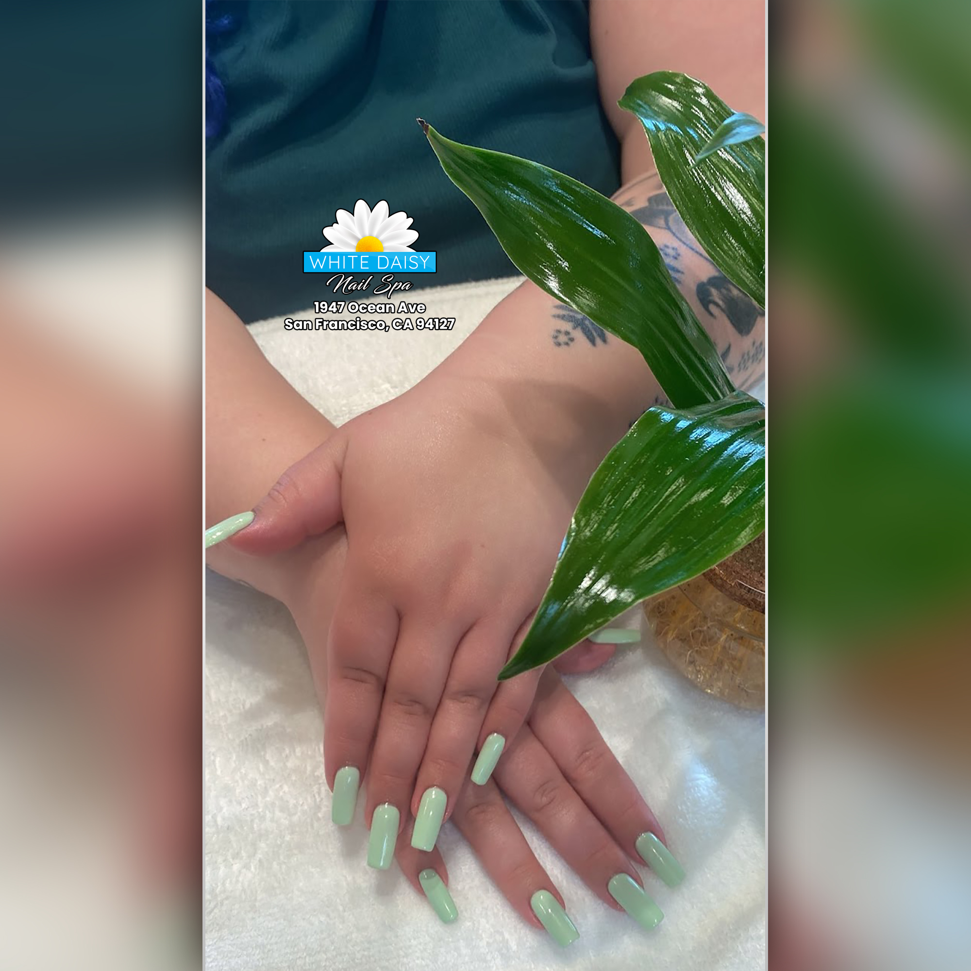 Nail design collection