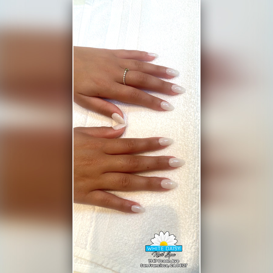 Nail design collection