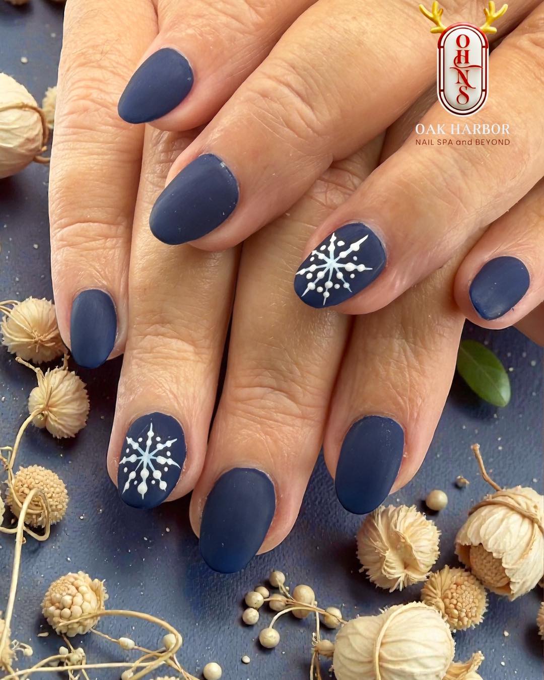 Oak Harbor Nail Spa 101225 (4)