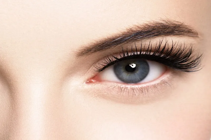 eyelash 49009
