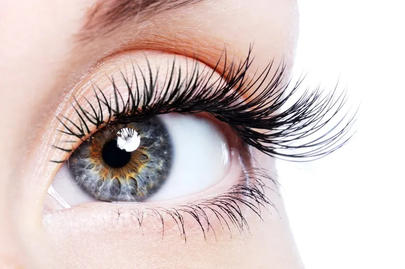 eyelash 49009