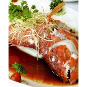 Cá Mú Hấp Xì Dầu – Món ăn thanh đạm, tinh tế và giàu dinh dưỡng - Steamed Grouper with Soy Sauce – Delicate, Nutritious, and Elegant