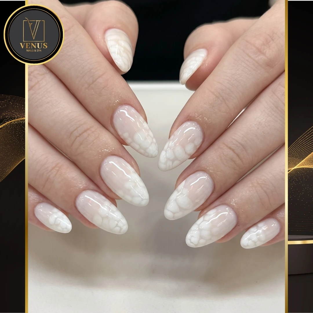 Venus nails & spa 