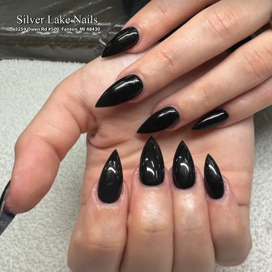 silver-lake-nails-3259-owen-rd-suite-500-fenton-mi-48430-united-states_2_2