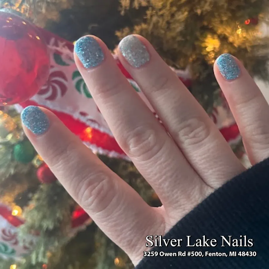 silver-lake-nails-3259-owen-rd-suite-500-fenton-mi-48430-united-states