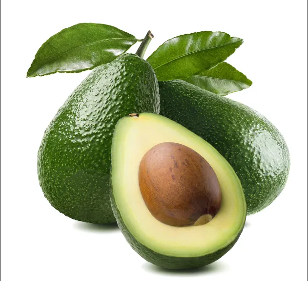 Avocado