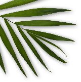leaf decoration