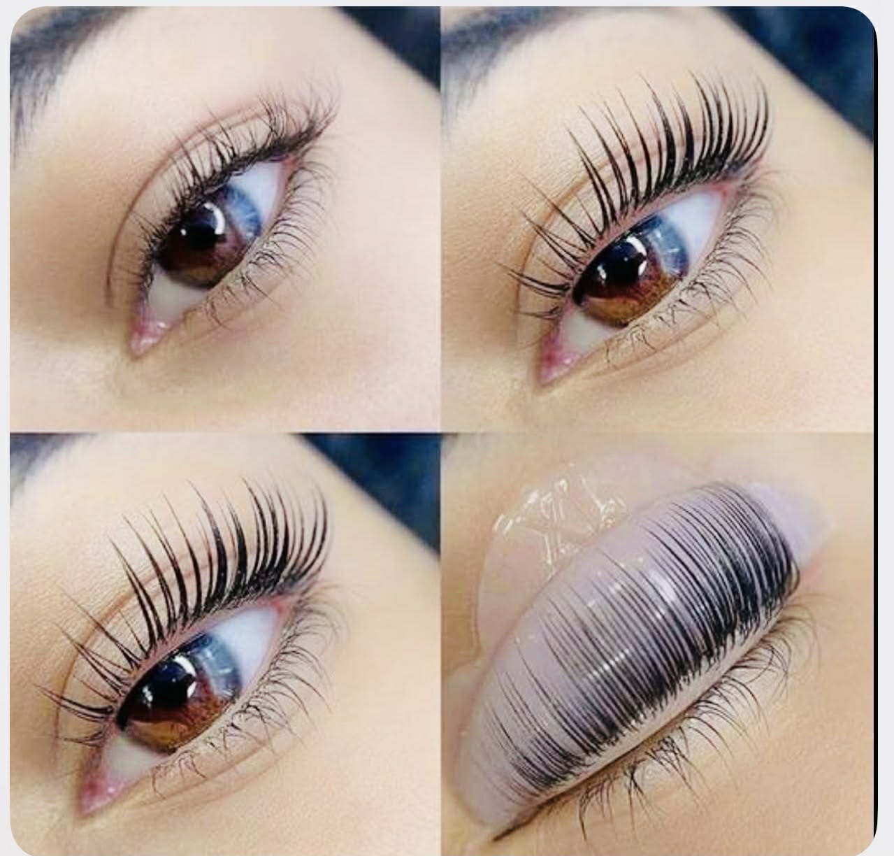 Lash Lift and Lash Lamination