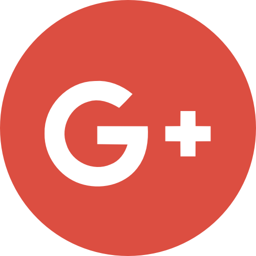 Google icon