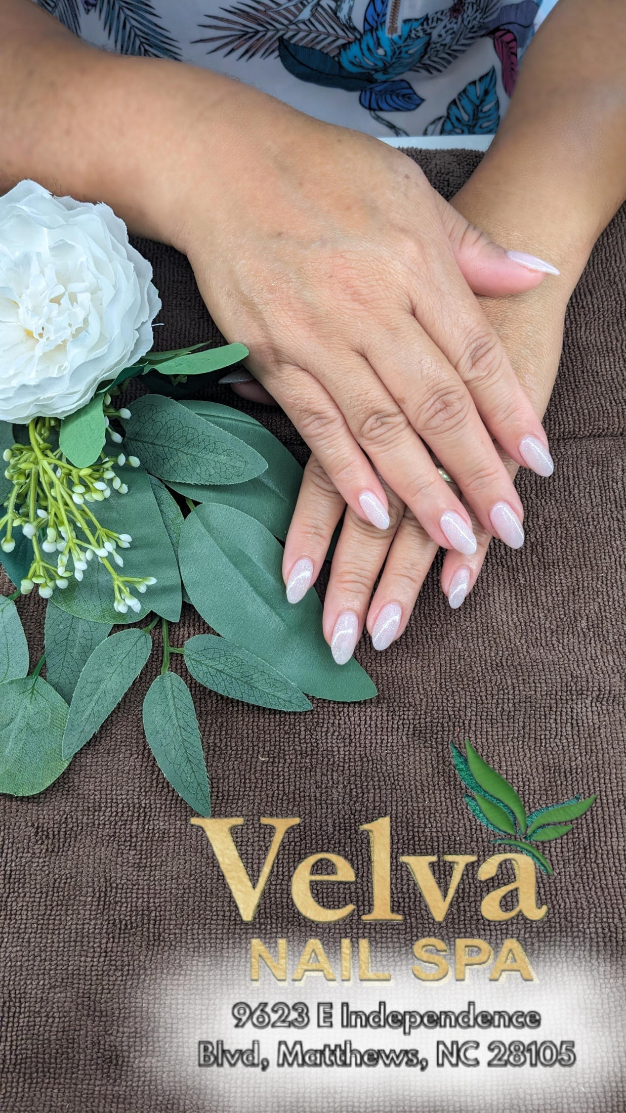 Velva Nail Spa