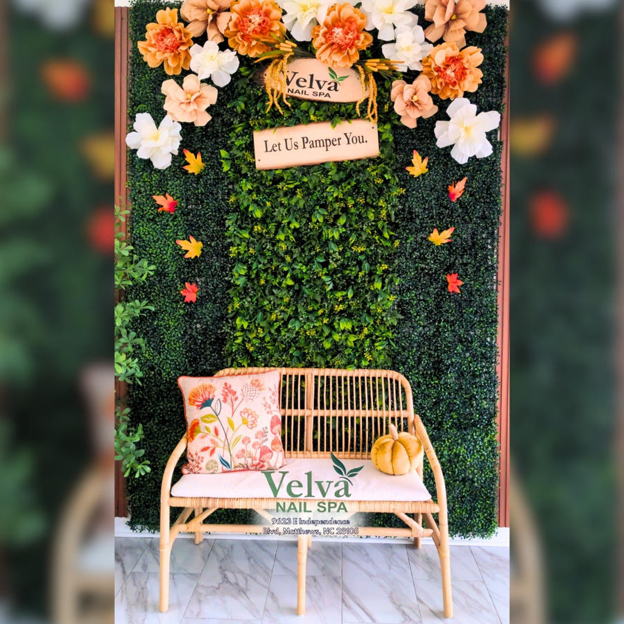 Velva Nail Spa