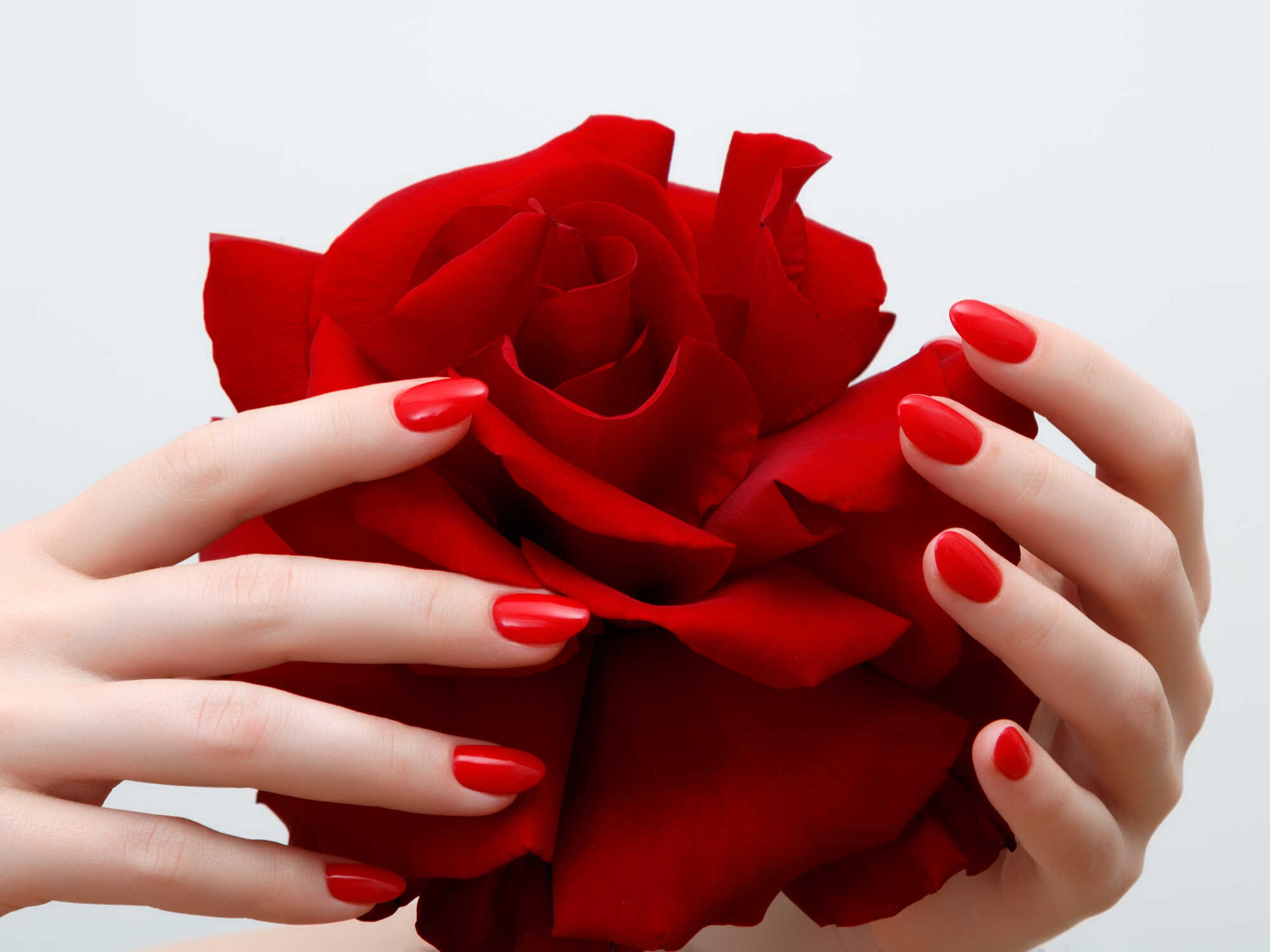 Q Nail Studio | Top-notch Nail Care Services in Crestwood, St. Louis, MO 63126