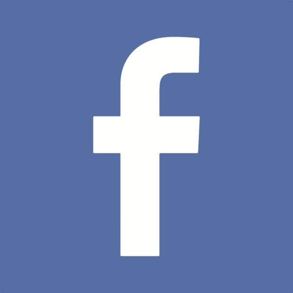 Icon facebook alt