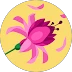 alt image