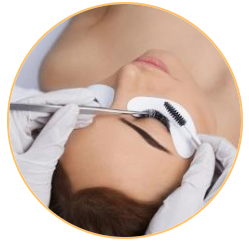 Additional Eyebrow & Lash Services