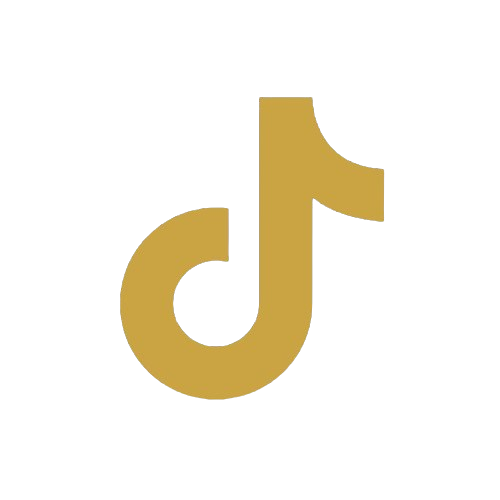 Icon tiktok alt