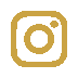 Icon instagram alt