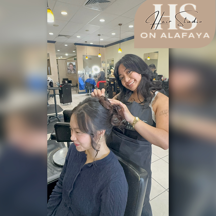 Elegant Hair Styles