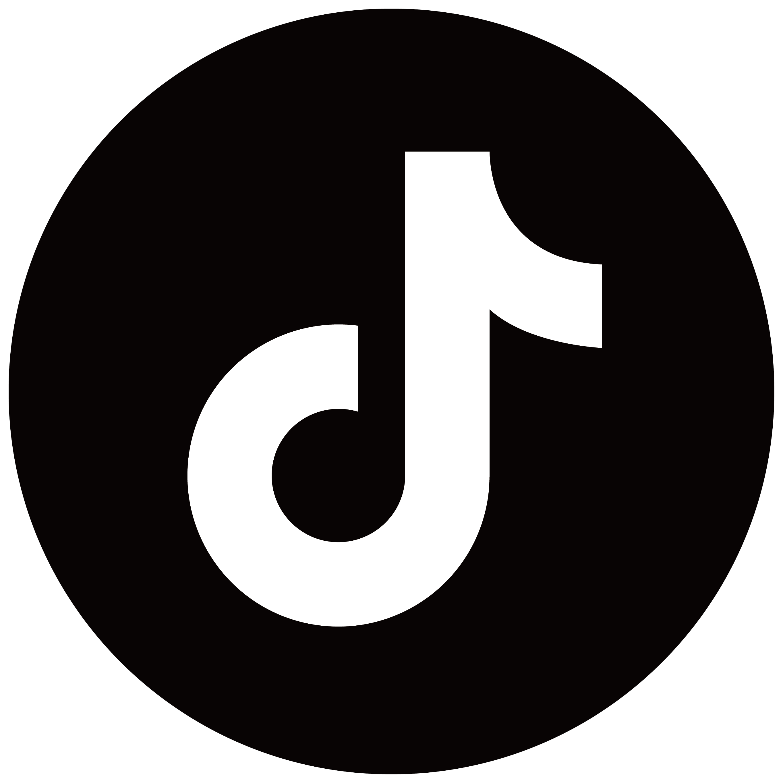 Tiktok icon