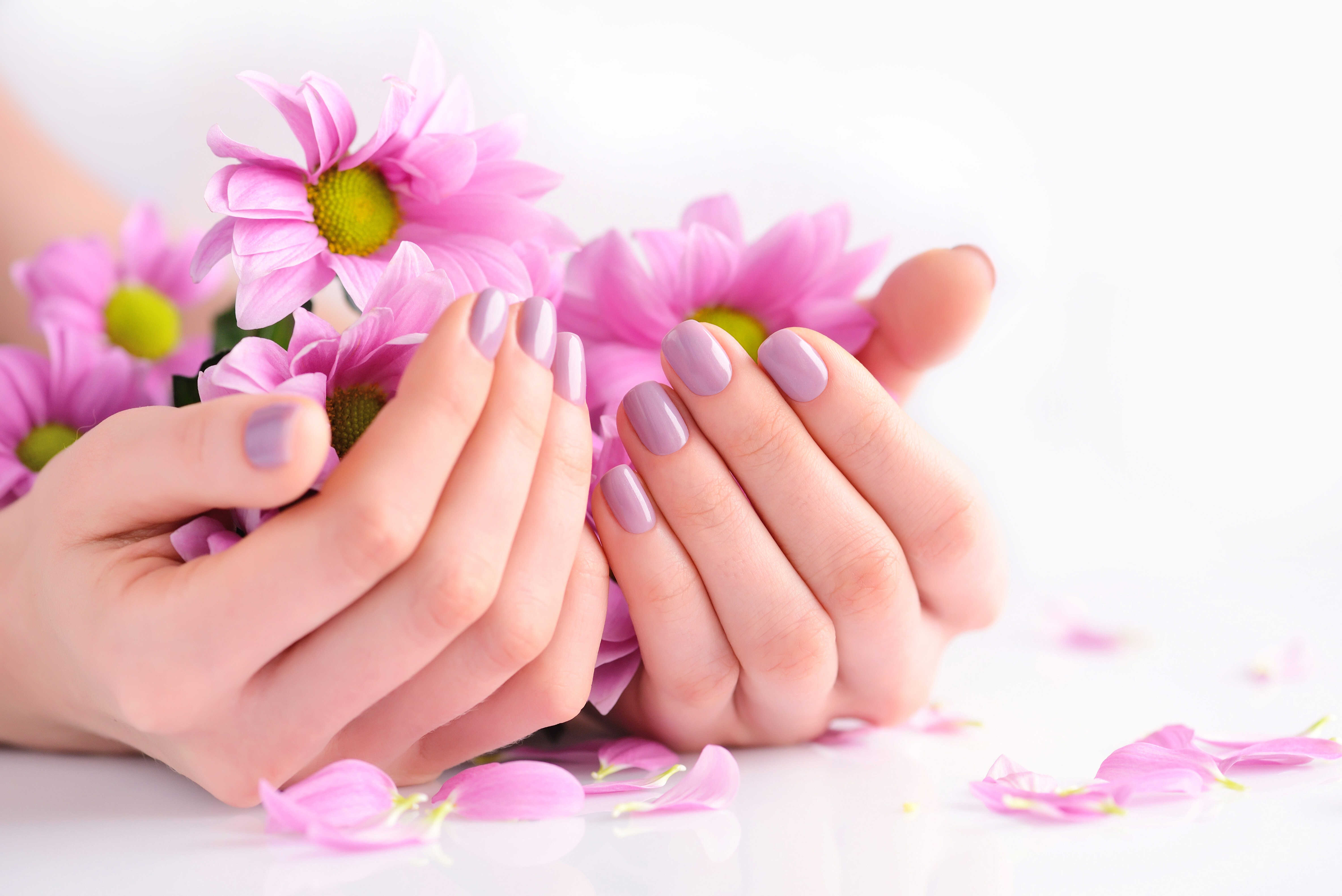 Etoile Nail Bar in Chicago, IL 60614 | Best nail salon in Chicago