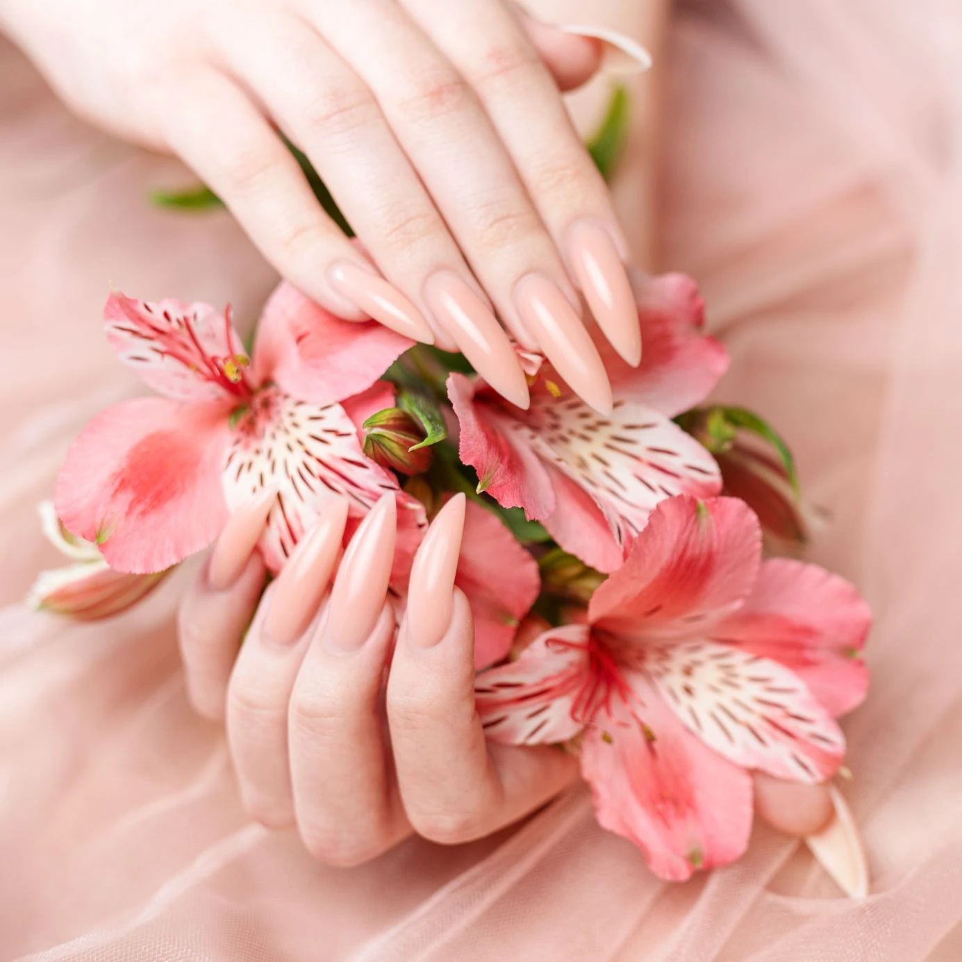 GEL POLISH
