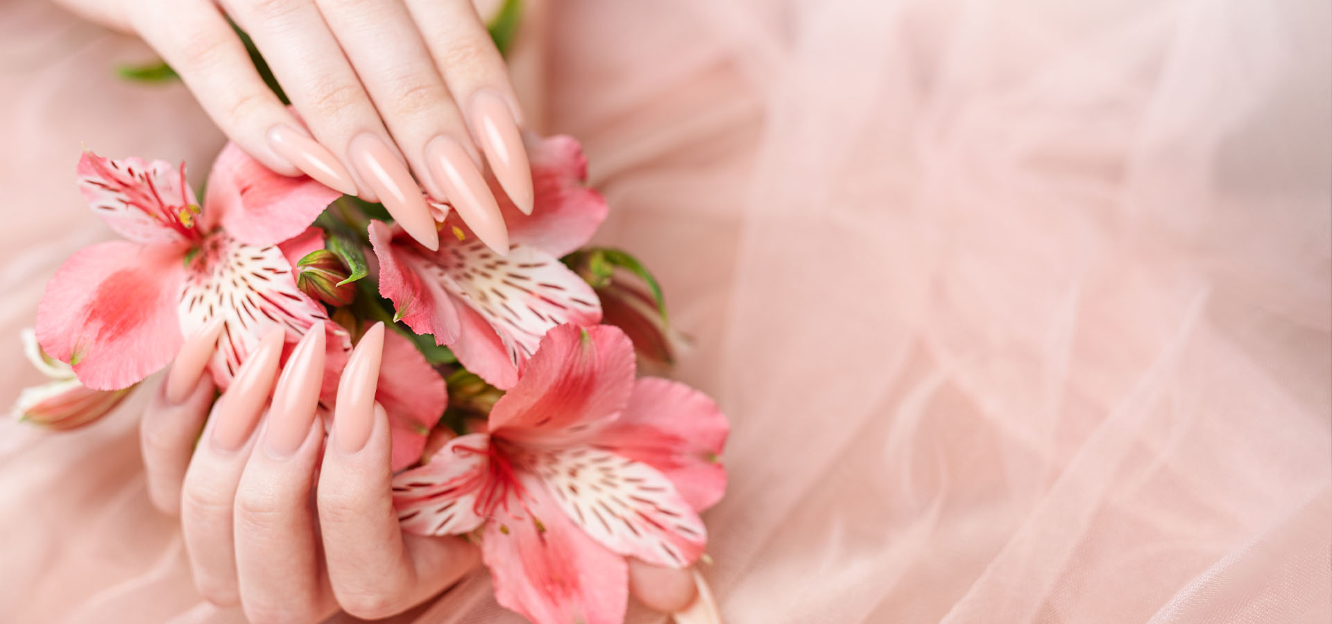 Nail Homepage 1