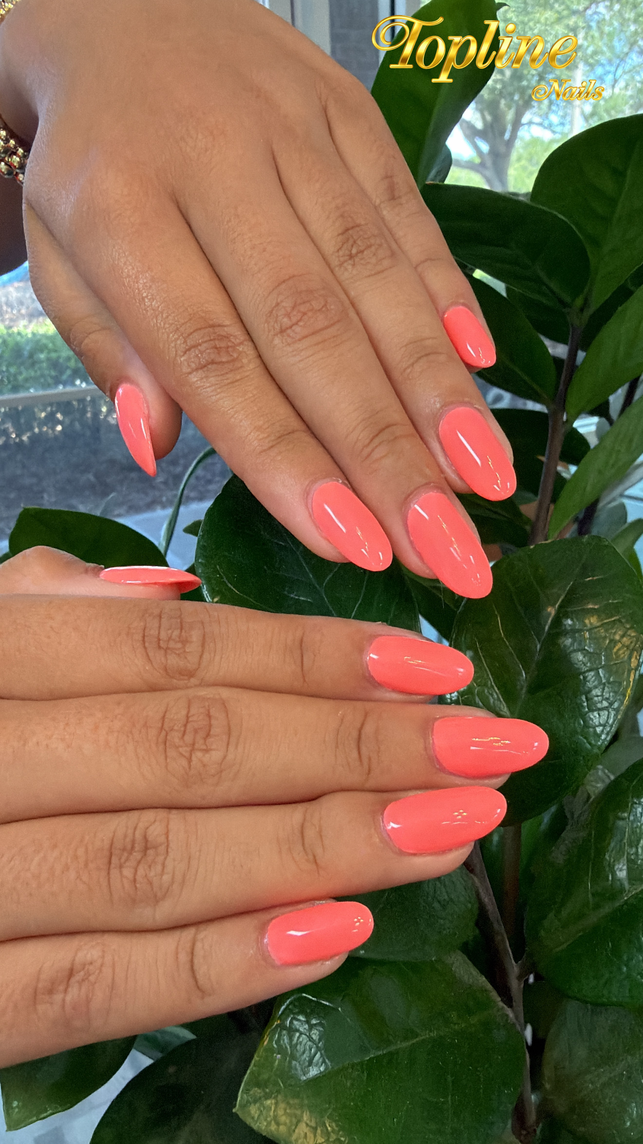 Topline Nails