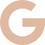 Google icon