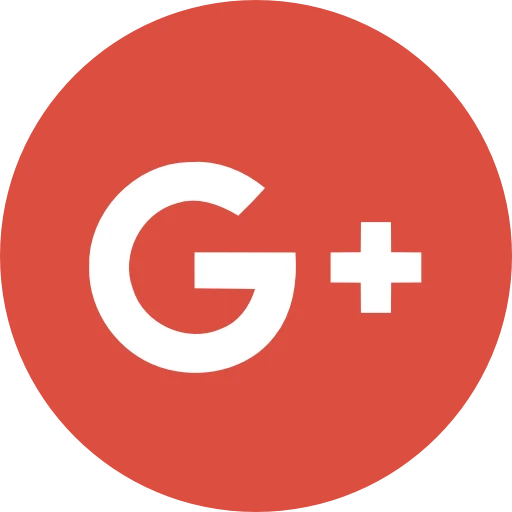 Google icon