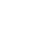 alt icon