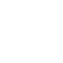 alt icon