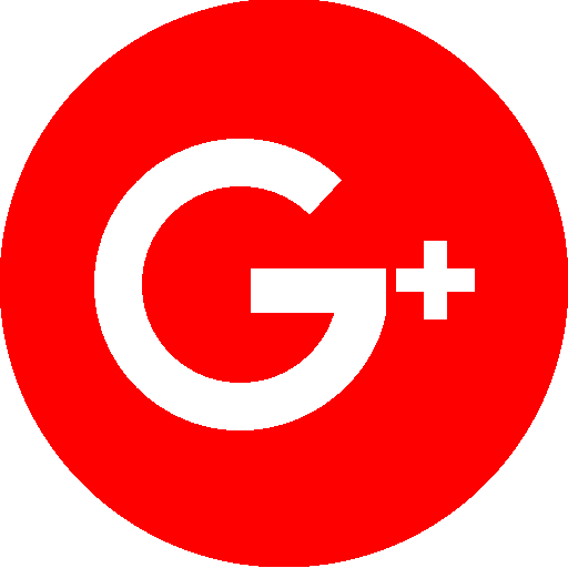 Google icon